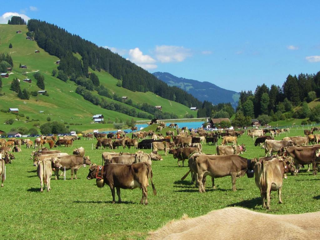 Hotel Kistenpass Breíl Zewnętrze zdjęcie