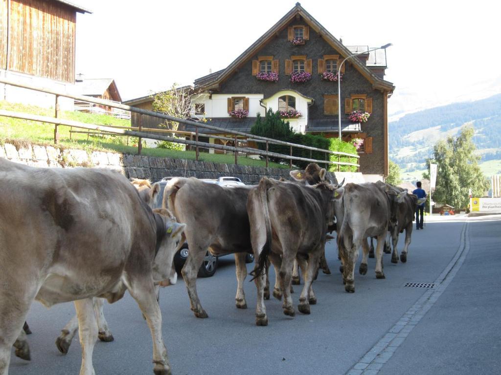 Hotel Kistenpass Breíl Zewnętrze zdjęcie